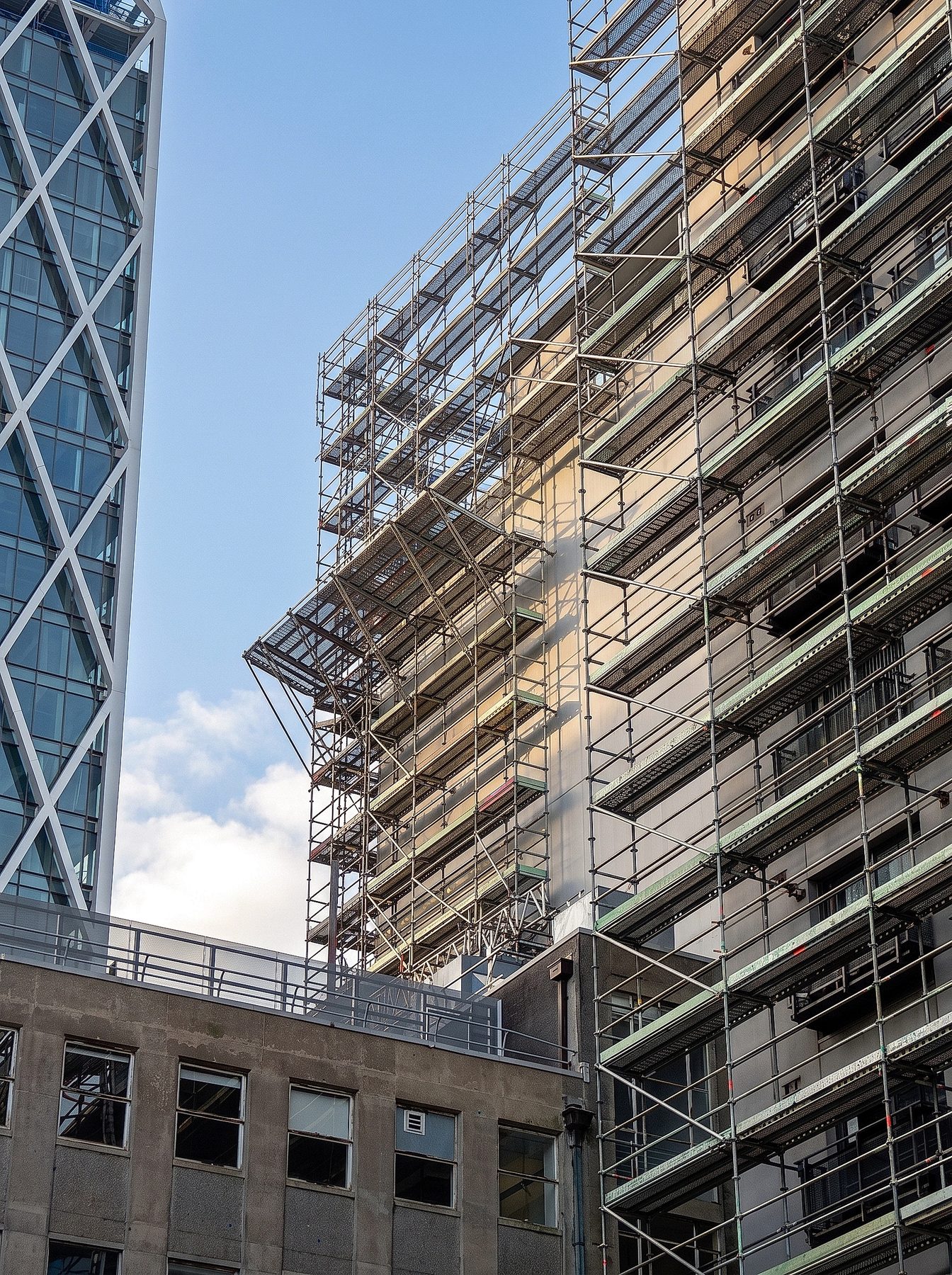 Tower Hill Apartments — photo 9